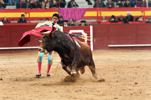 Bullfighter and bull in action. Spain