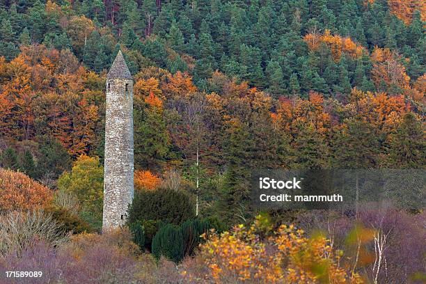 Antica Tower - Fotografie stock e altre immagini di Autunno - Autunno, Contea di Wicklow, Paesaggio