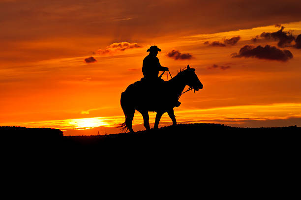 black silhouette of a cowboy riding a horse at sunset - kovboy stok fotoğraflar ve resimler