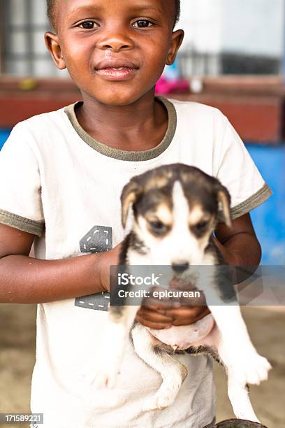 인물 코사어 남자아이 약간의 강아지 경견 아프리카 민족에 대한 스톡 사진 및 기타 이미지 - 아프리카 민족, 코사 문화, 검은색