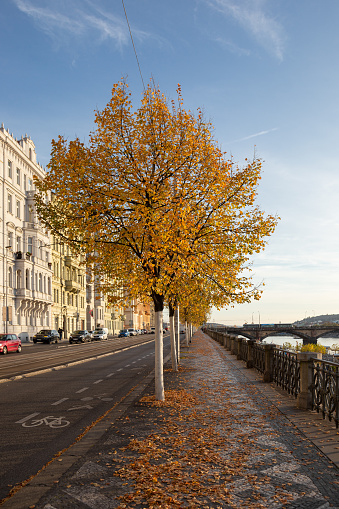 Blowing leaves by wind in Autumn in Prague. fall On A Street Pavement, Coblestone Road