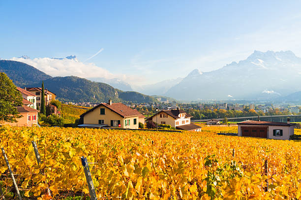 istock Vineyard in autumn under Alps 171589286