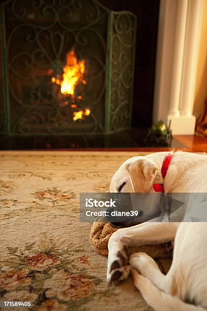 Dog Sleeping In Front Of A Fireplace Stock Photo - Download Image Now - Fireplace, Dog, Puppy