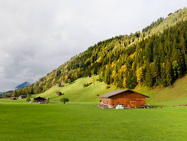 paisagem de outono, bernese oberland, suíça - lenk im simmental - fotografias e filmes do acervo