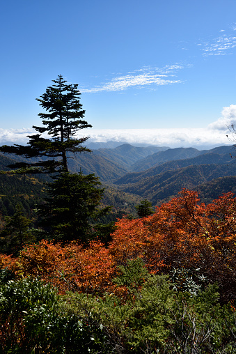 Climbing Mount Taishaku And Tashiro Fukushima Japan Stock Photo