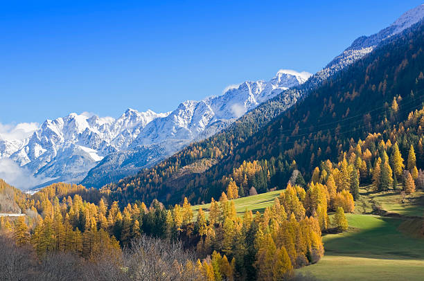 осень в швейцарских гор вблизи давос - кантон граубюнден стоковые фото и изображения