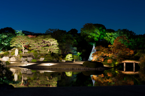 Japanese autumn  in night