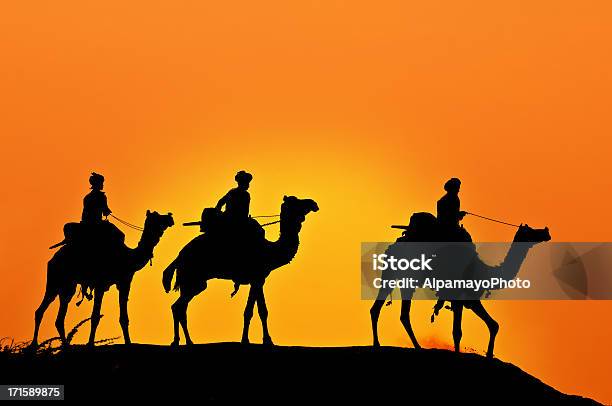聖書のクリスマスストーリー3 Wise の男性 - ラクダの隊商のストックフォトや画像を多数ご用意 - ラクダの隊商, Horizon, おとぎ話