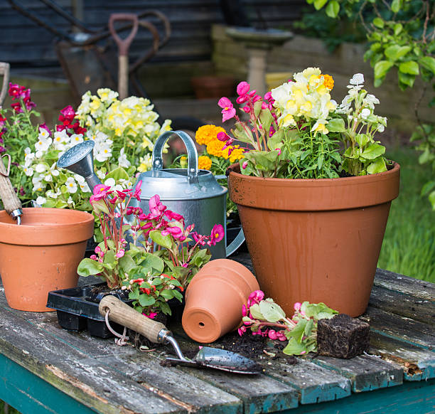 istock Potted flowers, watering can, tools on wood table 171589906
