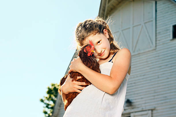 A cute blond farm girl holding a red hen.