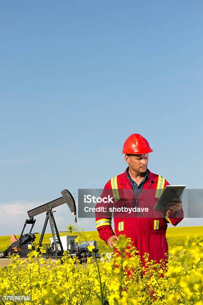 Ingegnere Di Olio Di Colza - Fotografie stock e altre immagini di Benzina - Benzina, Gas, Petrolio