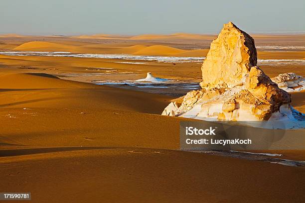 Zarte Morgen Licht Über Dünen Und Hills Im Sahara Desert Stockfoto und mehr Bilder von Afrika
