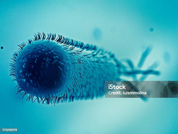 Escherichia Coli Stockfoto und mehr Bilder von Harnwegsinfektion - Harnwegsinfektion, Bakterie, Dreidimensional