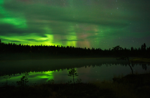 Aurora Borealis above forest pond in northern taiga.