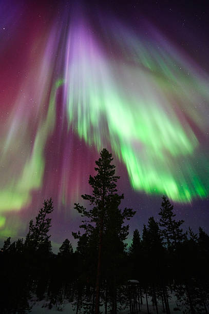northern lights (aurora borealis) - winter landscape sweden snow zdjęcia i obrazy z banku zdjęć