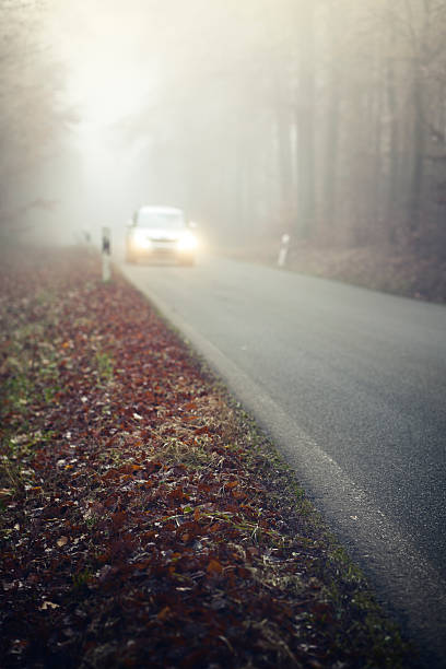 istock Dense fog on the forest road, oncoming traffic 171591183