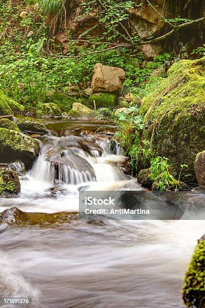 Foto de Creek No Black Forest Alemanha e mais fotos de stock de Alemanha - Alemanha, Bosque - Floresta, Curso de Água