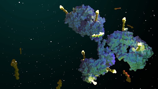 Antibody drug conjugates (ADCs) are targeted medicines that deliver chemotherapy agents to cancer cells 3d rendering