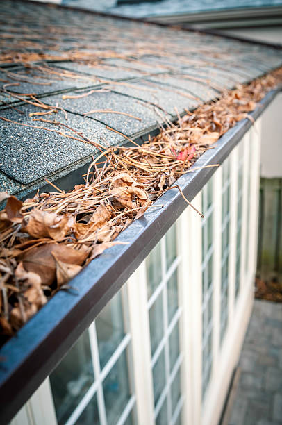 istock Eavestrough clogged with leaves - IV 171591278