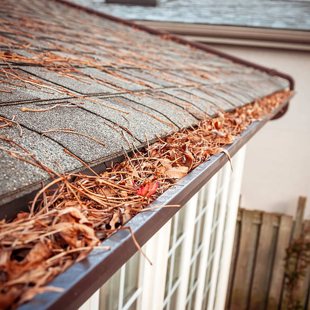 Eavestrough clogged with leaves - V stock photo