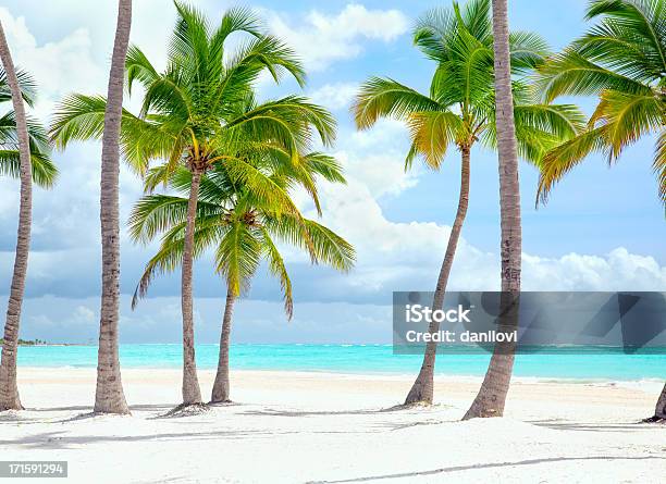 Cap Cana Seacoast - zdjęcia stockowe i więcej obrazów Plaża - Plaża, Palma, Republika Dominikańska