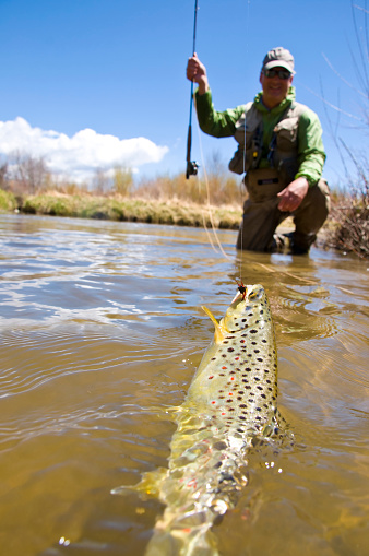 Fly-fisherman catching trout with copy-space.