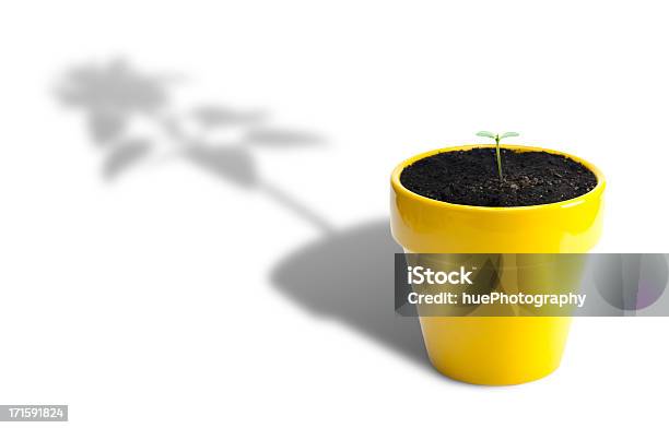 Crecimiento De La Planta Foto de stock y más banco de imágenes de Conceptos - Conceptos, Crecimiento, Aspiraciones