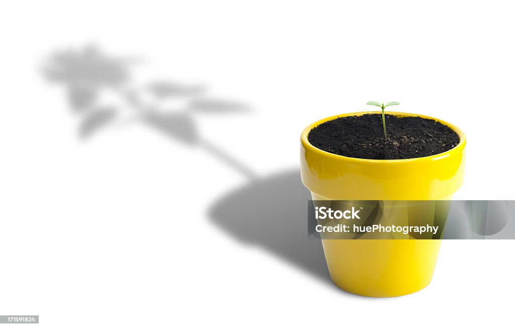 Crescimento de planta - Royalty-free Conceito Foto de stock