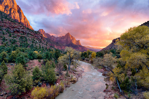 Watchman Sunset Incredible sunset over the Watchman, Zion National Park, Utah. zion river stock pictures, royalty-free photos & images