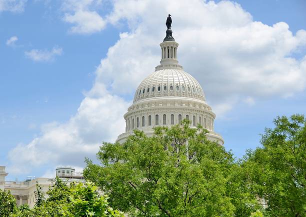 istock The Capitol Building Dome in Washington DC 171591981