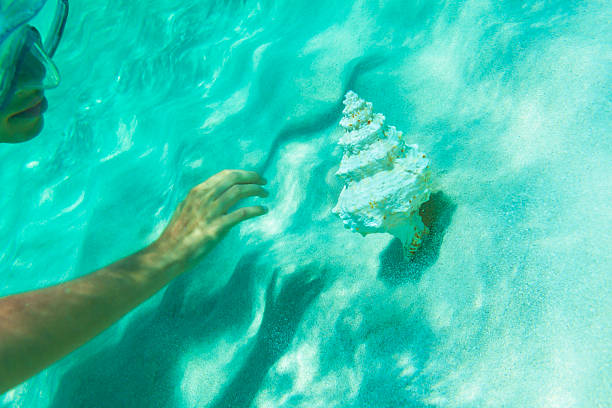 istock Girl diving underwater 171592073