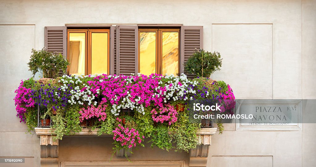 A balcony with multicolored flowers Piazza Navona sign on a wall at Piazza Navona, Rome Italy Flower Stock Photo