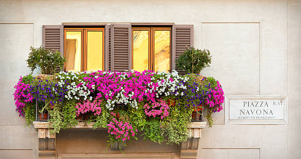 varanda com flores-praça navona roma, itália - piazza navona imagens e fotografias de stock