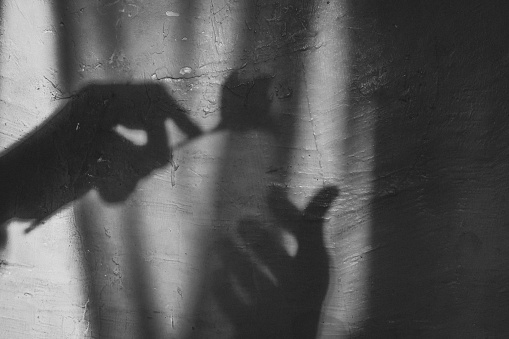the shadow of a hand holding a rose, the shadow on the wall of a hand holding a flower.