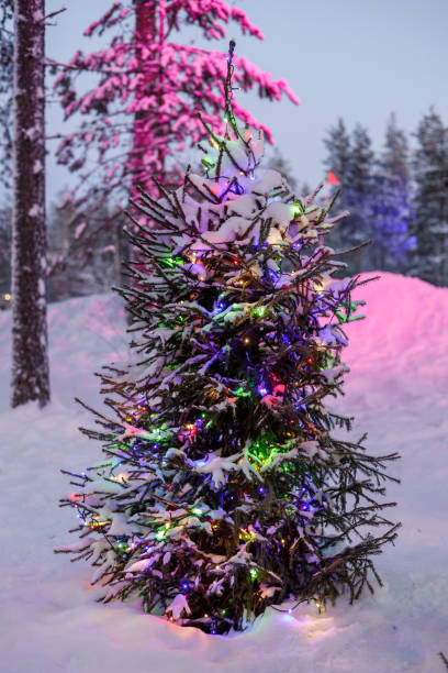 istock Upcoming Christmas Holidays 1716019363