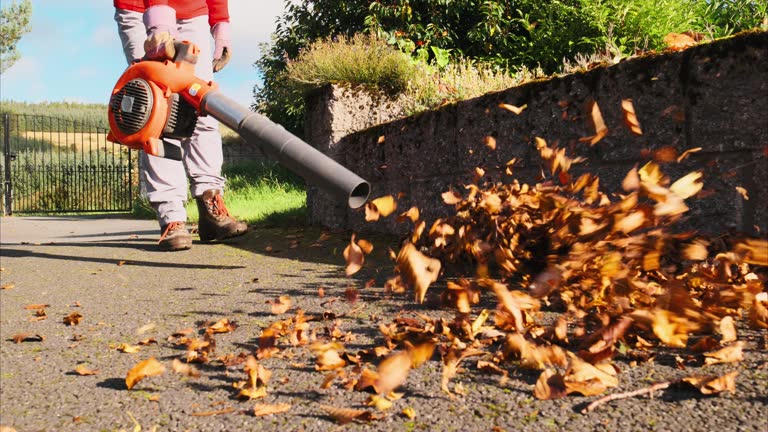 Leaf blower