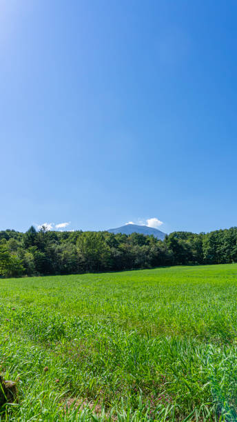 istock Blue sky and natural scenery seen from the plateau 1716068233