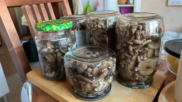 istock Pickling Of Mushrooms 1716070401