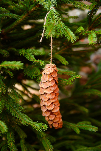 Pine Cone Hanging as Decoration on a Christmas Tree