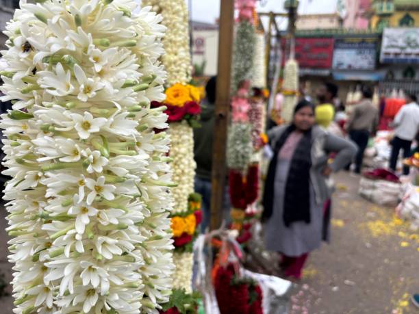 exclusive day shots of people and flowers in kr market in bengaluru - india bangalore flower business imagens e fotografias de stock