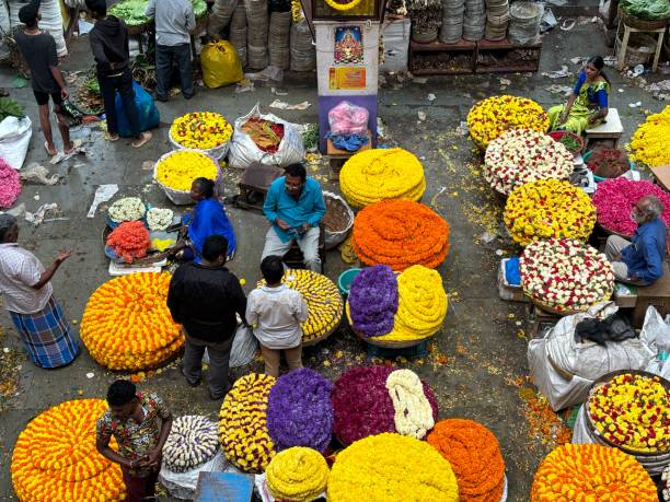 exclusive day shots of people and flowers in kr market in bengaluru - india bangalore flower business imagens e fotografias de stock