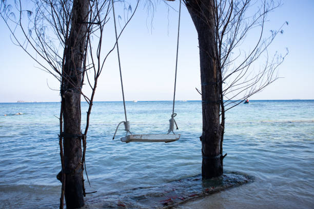 istock a wooden swing hanging 1716147932