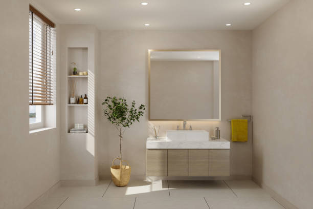 Modern Bathroom With Cabinet, Mirror And Potted Plant