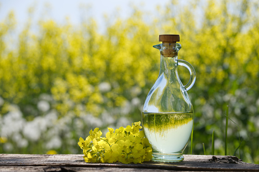 Sprigs of vivid yellow rapeseed flowers near oil decanter with reflections of yellow rape fields on a rustic table