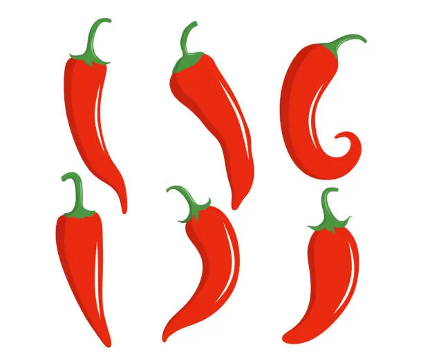 Vector illustration of Red hot chili peppers set, chili vector icon fruit and vegetable