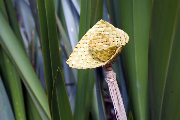 Putiputi Lily Style Flower Woven from New Zealand Flax A Putiputi is the Maori name for a woven flower made from the New Zealand Flax plant (or Phormium) leaves. maori weaving stock pictures, royalty-free photos & images