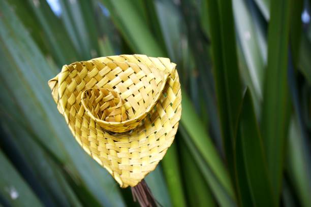 Putiputi Lily Style Flower Woven from New Zealand Flax A Putiputi is the Maori name for a woven flower made from the New Zealand Flax plant (or Phormium) leaves. maori weaving artwork stock pictures, royalty-free photos & images