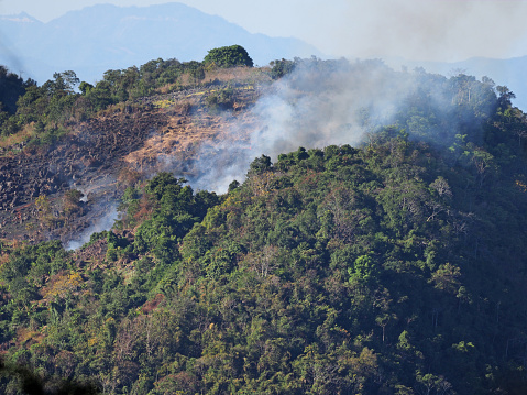 Forest fire with black smoke on the mountain during daytime in dry season in Chiang Mai, north of Thailand, Asia