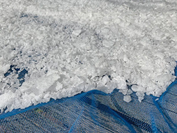 istock Closeup of flaky rock salt from mountain sun drying on net 1716287028
