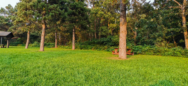 istock beautiful park green grass trees landscape 1716293053